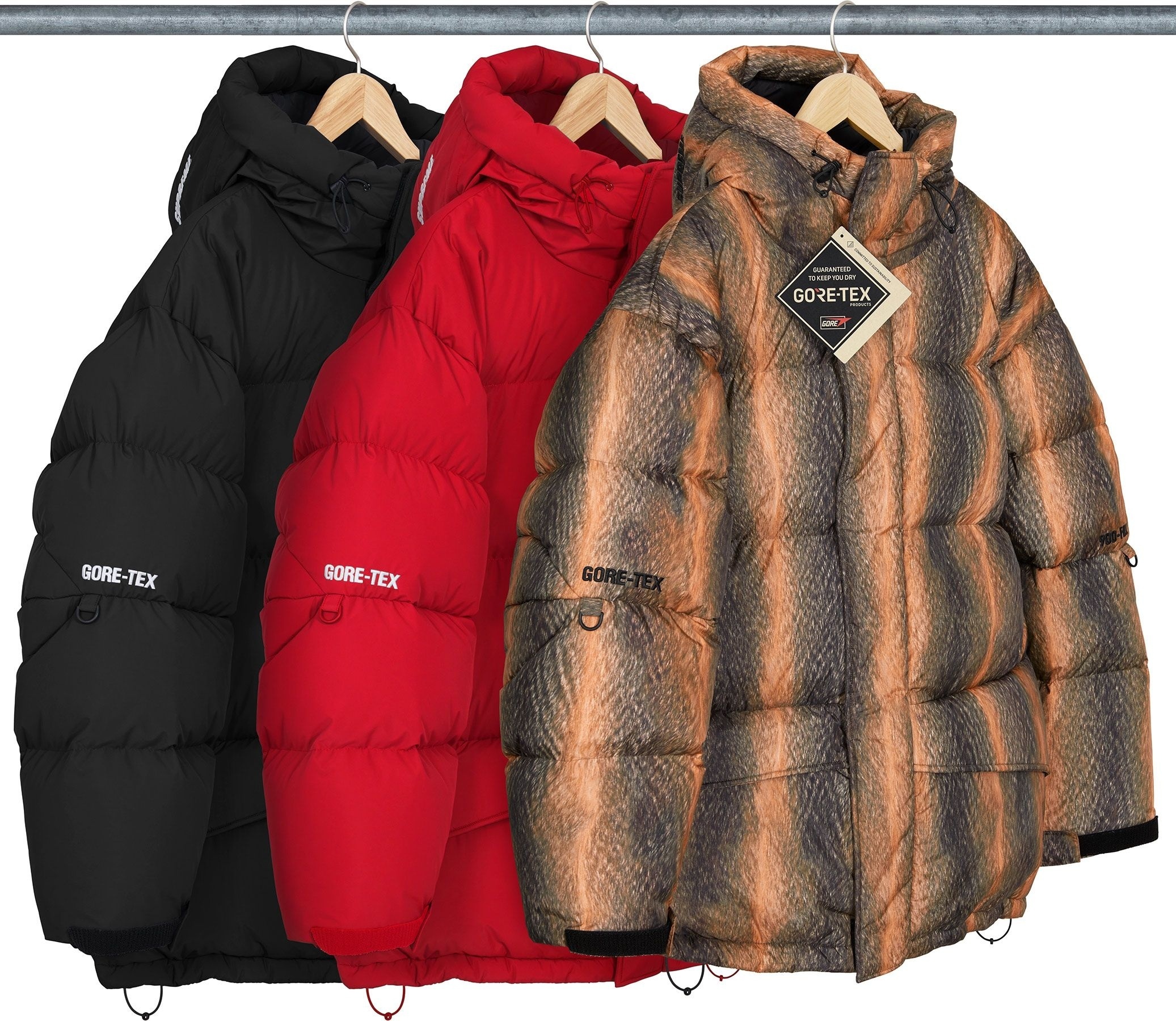 GORE-TEX 900-Fill Down Parka